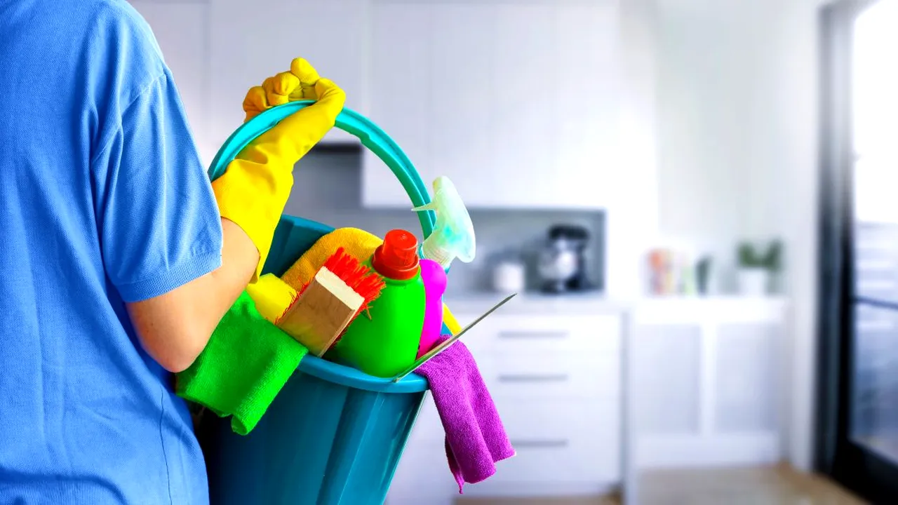 O nouă categorie de angajați a fost reglementată oficial de Parlament. Câți bani se pot câștiga pentru „activități casnice”