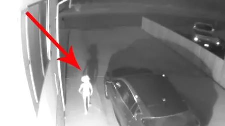 Mister neelucidat: Creatura „Dobby