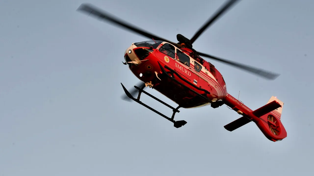 Un bărbat a fost atacat de urs, în județul Mureș. A intervenit elicopterul SMURD