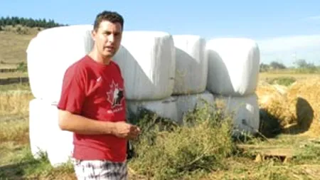 Un senator UDMR și-a prezentat vacile din ferma proprie la un târg, în Harghita