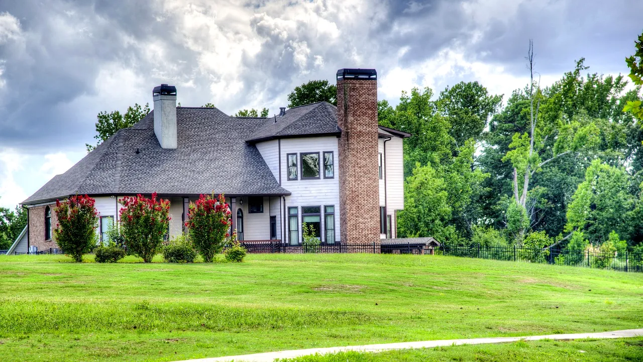 (P) Casă și gradină: cum se pregătesc românii de primăvară?