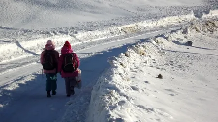 După București și Ilfov, școlile din alte 4 județe au fost închise. Cursurile, 