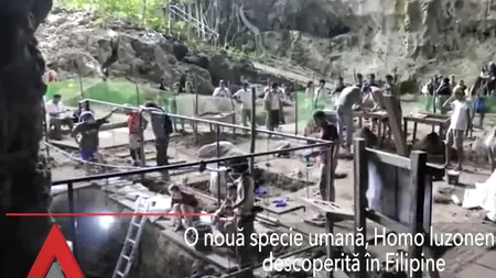 O nouă specie umană, descoperită în Filipine. Strămoșii omenirii au trăit în urmă cu 50.000 de ani