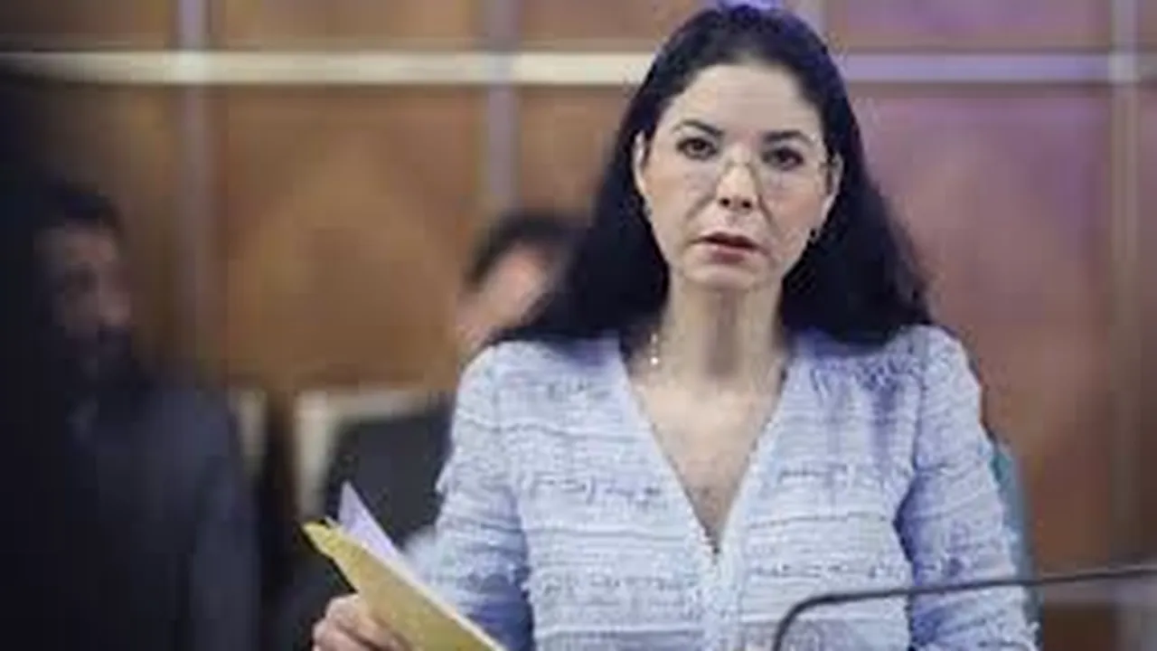 ACUZAȚIE. Ana Birchall a declarat că s-a urmărit asasinarea acesteia: A fost un şoc! Trebuia să fiu şi eu în maşină