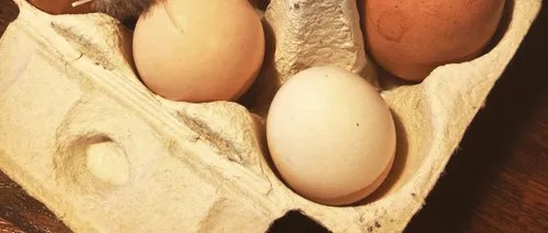 Peste 500.000 de ouă din import, cu Salmonella, descoperite în România în nici două săptămâni