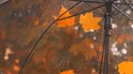 Câte zile va ploua săptămâna viitoare, potrivit meteorologilor. Temperaturile nu depășesc 17 grade C în București