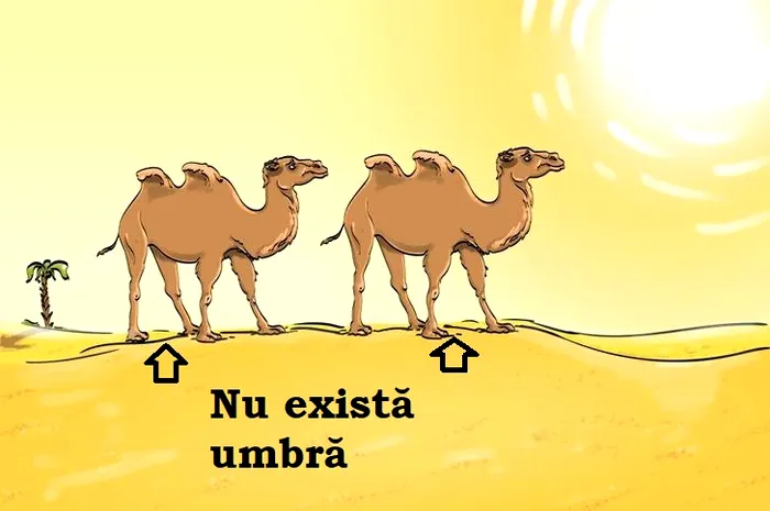 Doar persoanele cu IQ mare pot observa GREȘEALA din imagine în 4 secunde!