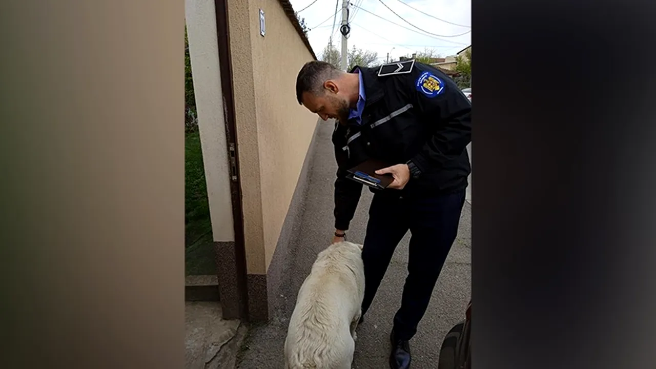 Cum a primit stăpâna unui câine din București amendă de 1.000 de euro. „A fost avertizată”