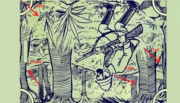 Iluzia optică virală care îți spune cât de inteligent ești, de fapt | Poți vedea elefantul ascuns?