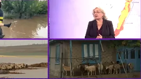 Climatologul Roxana Bojariu: „Există atenționări de PLOI abundente, până mâine dimineață, în zonele deja afectate, dar si pe vest”
