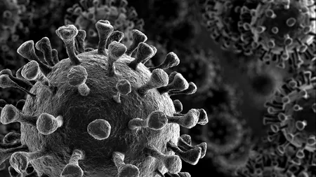 Bilanț coronavirus 31 octombrie. 7.424 de cazuri noi de COVID în ultimele 24 de ore