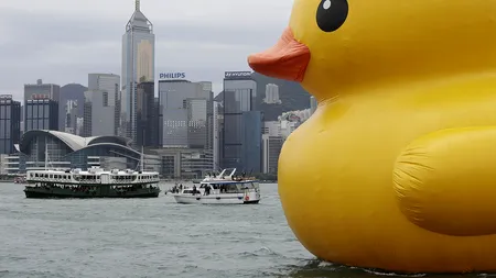 FOTO. Rătușcă gigant într-un port din Hong Kong
