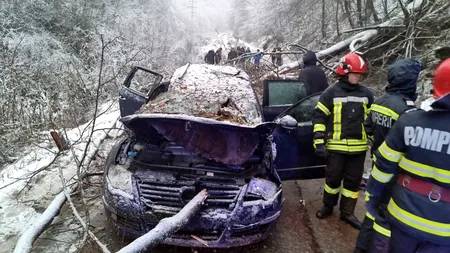 Băiatul de 14 ani MORT după ce un copac a căzut peste mașina în care se afla se întorcea de la schi