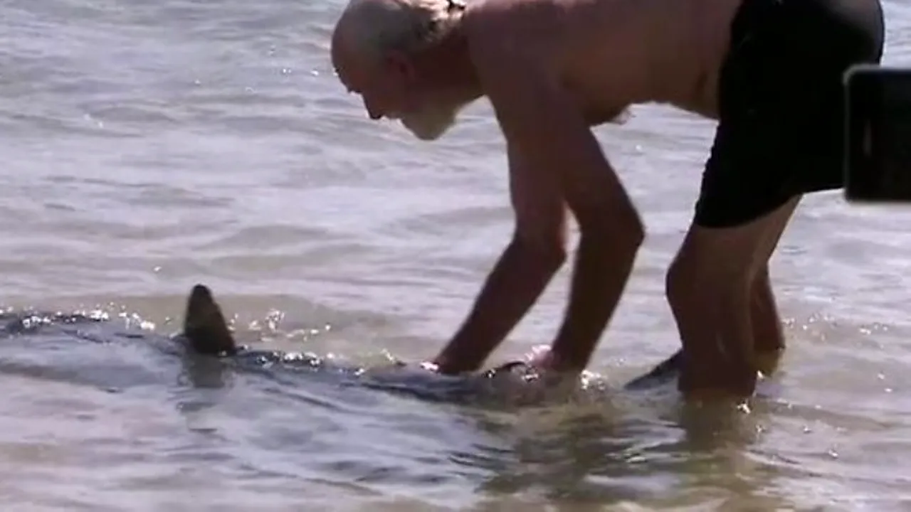 A fost concediat pentru că a făcut o faptă bună.VIDEO