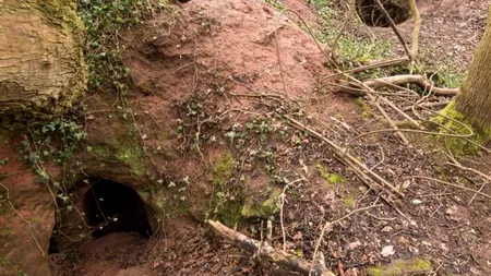 Ce poți găsi sub o gaură săpată de un iepure? Arheologii au făcut o descoperire istorică