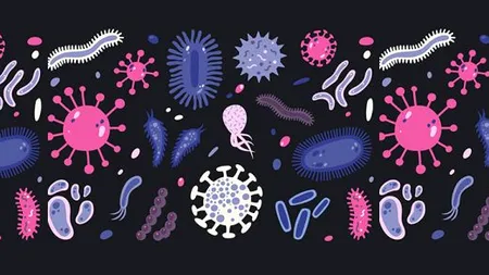 MĂSURĂ. Boala COVID-19 a fost inclusă în Grupa A de boli infectocontagioase