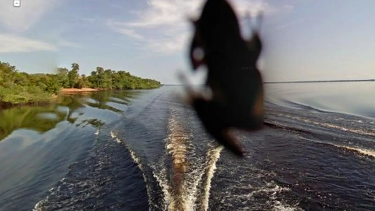 Imagini inedite surprinse de serviciul Google Street View. GALERIE FOTO