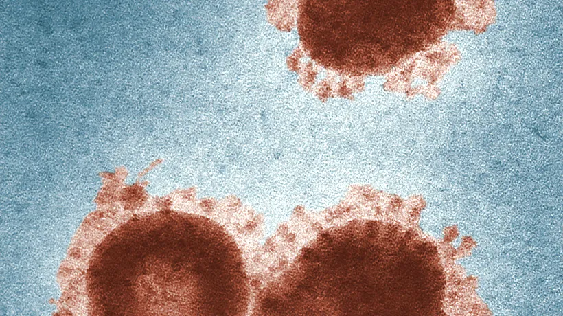 OMS lansează un studiu, Solidaritate, care conține patru tratamente promițătoare împotriva virusului COVID-19