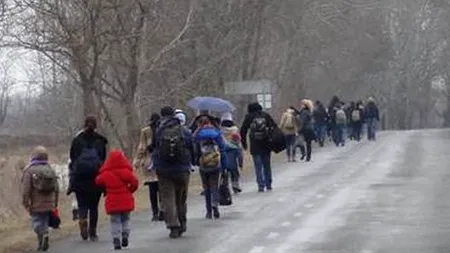 Breșa prin care mii de sârbi trec ilegal spre Germania. Un  primar maghiar e gata să convingă Parlamentul să ridice un gard la frontieră