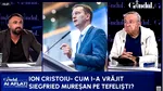 Cum i-a sedus Siegfried Mureșan pe tefeliști. Cristoiu: Mă obligați pe mine să vă zic cum gândește o pisică