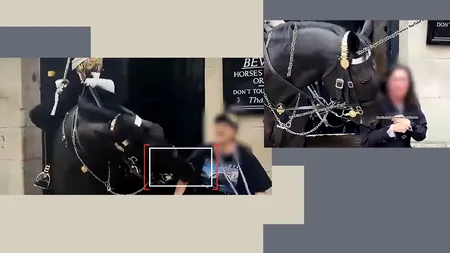 O turistă ignorantă a fost onorată cu un TATUAJ permanent de un cal al Gărzii Regale în Londra