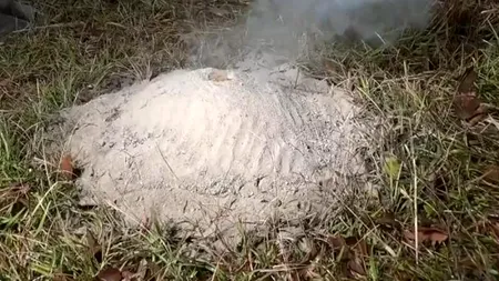 VIDEO. Ce se întâmplă dacă torni aluminiu topit într-un mușuroi de furnici