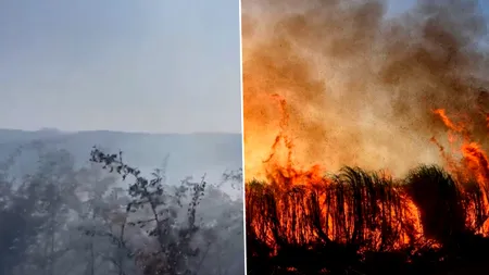 Incendiile de vegetaţie au apărut și în România. Ard 30 de hectare în Caraş-Severin