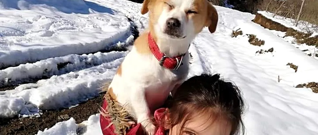 O fetiță de 9 ani și-a cărat câinele în spate, prin zăpadă, pentru a ajunge cu el la veterinar. A mers așa doi kilometri, iar povestea sa a impresionat o lume întreagă
