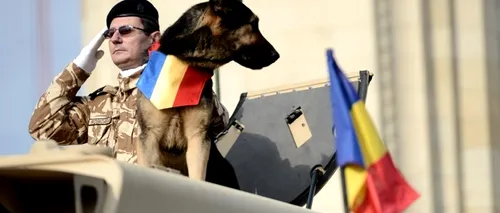 ZIUA NAȚIONALĂ, 1 DECEMBRIE. Peste 2700 militari români și 280 de mijloace tehnice vor participa la parada de 1 Decembrie