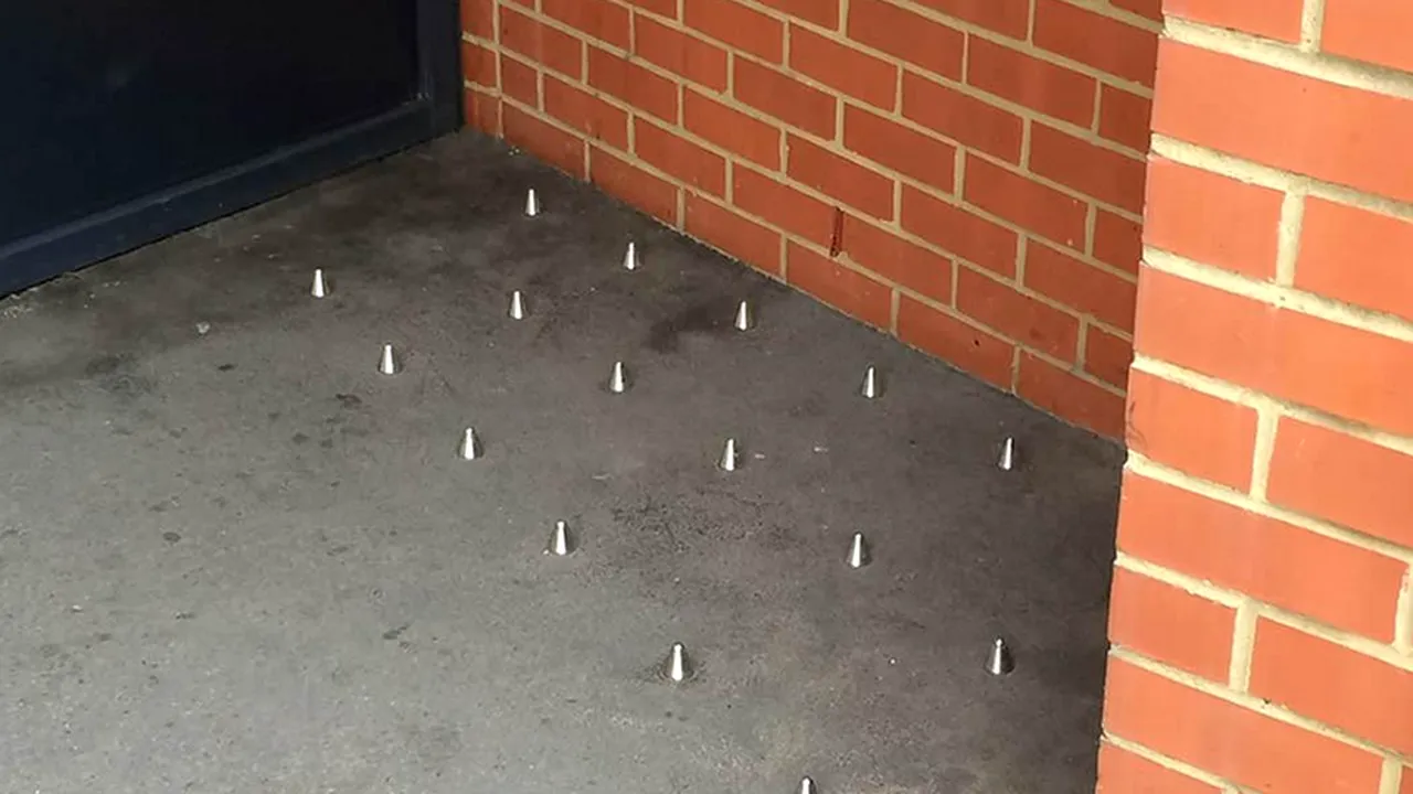 La ce credeți că folosesc „ȚEPII