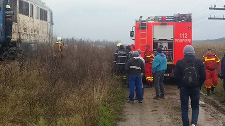 Aproximativ 100 de oi, spulberate de un tren care mergea spre Budapesta. Cum s-a întâmplat accidentul, deși turma era supravegheată
