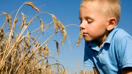 STUDIU. Poluarea poate determina apariția alergiei alimentare la copii