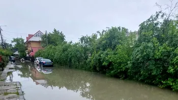 Ploile torențiale și grindina lasă DEZASTRU în urma lor în mai multe zone din țară: case inundate, copaci căzuți peste mașini, un pod s-a surpat