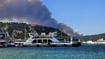 Circulația navelor prin Dardanele, oprită temporar, din cauza INCENDIILOR din Turcia