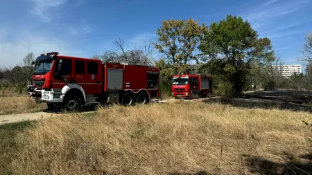 Încă un incendiu de vegetație în parcul IOR din Capitală/ Două hectare au fost pârjolite