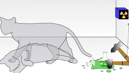 ERWIN SCHRODINGER, omagiat de Google la 126 de ani de la naștere. Pisica lui ERWIN SCHRODINGER, cel mai cunoscut experiment al fizicianului