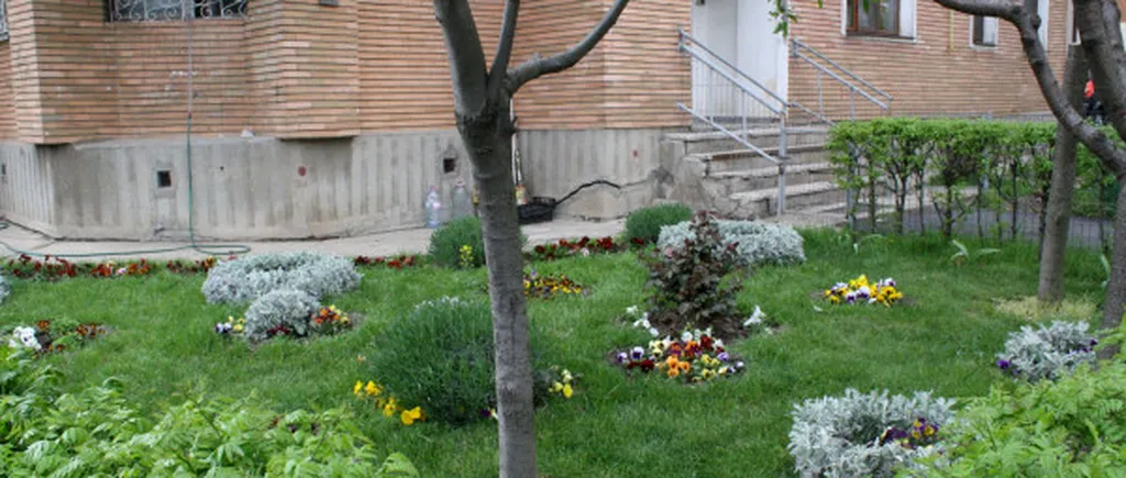 Pensionară din Brașov, AMENDATĂ pentru că a plantat flori în spatele blocului. „Este anormal ce se întâmplă”