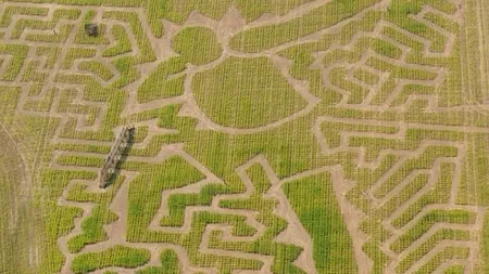 Labirint construit în cinstea campionului olimpic Usain Bolt 