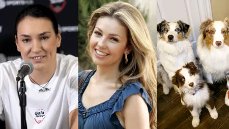 26 AUGUST, calendarul zilei: Ziua internațională a câinelui/ Thalía împlinește 54 de ani, Cristina Neagu 37