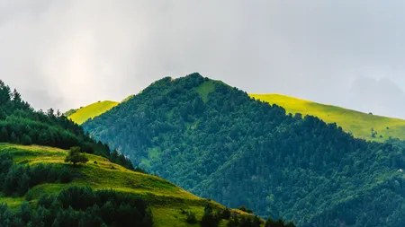 Un bătrân s-a pierdut de grup și a reușit să supraviețuiască o săptămână în pădure. Cum a rezistat bărbatul fără mâncare timp de cinci zile - VIDEO