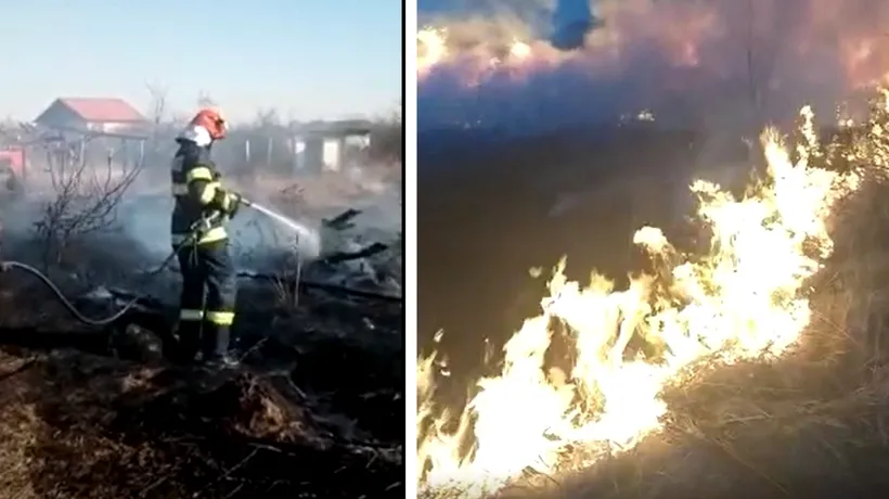Incendii uriașe de vegetație în județul Argeș VIDEO