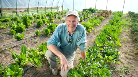 Fabrică de solarii la cheie, înființată în apropierea Bucureștiului. Cât costă amenajarea unui solar