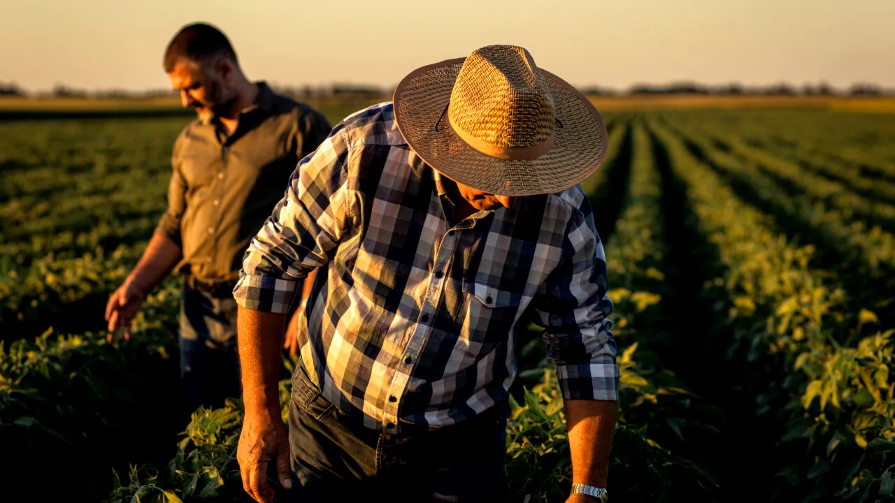 Vești bune pentru fermieri, în prag de Crăciun. Serele și solariile nu vor fi impozitate