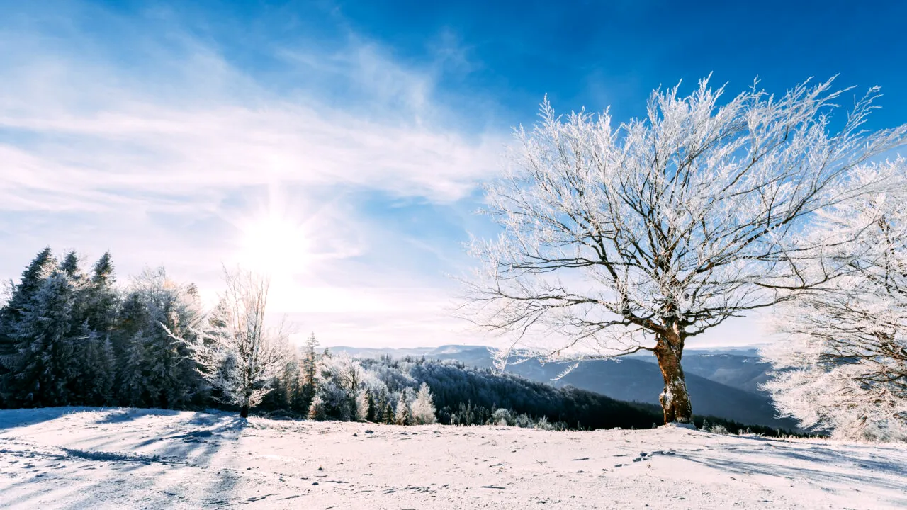 Prognoza ANM a fost actualizată în România. Cum va fi vremea în fiecare regiune a țării, până pe 2 februarie 2025