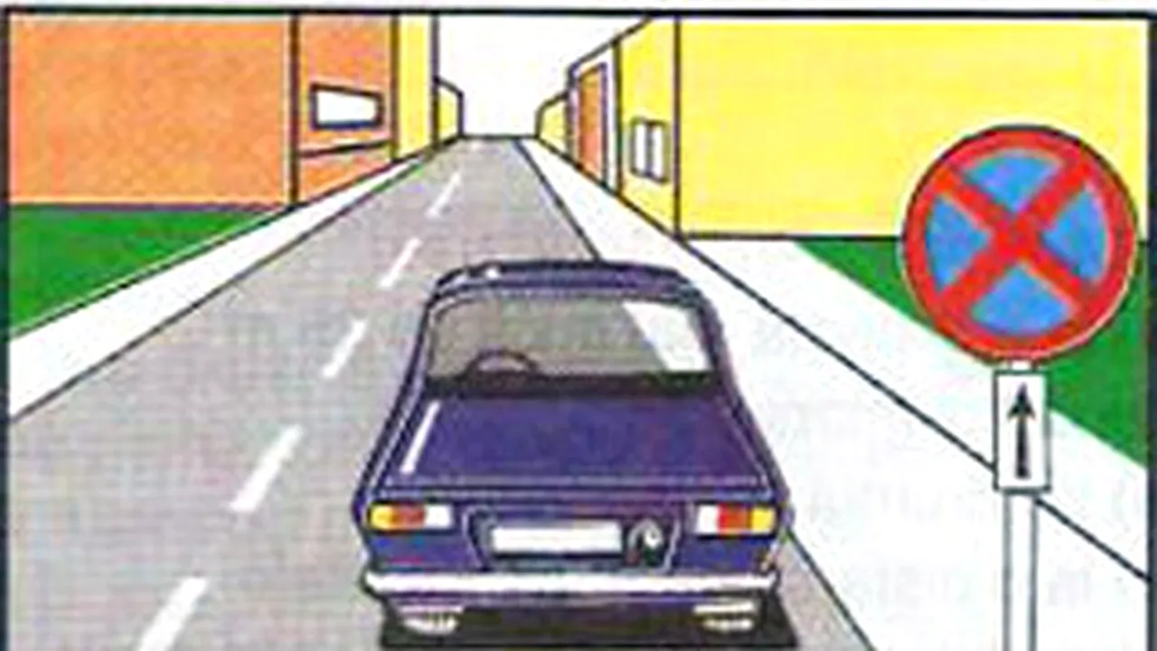 Chestionare auto. Autoturismul a fost oprit regulamentar?