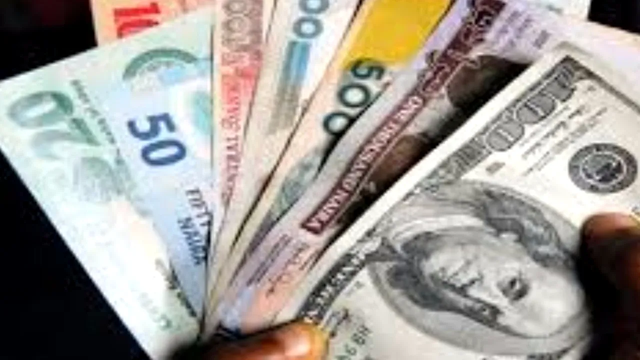 Motivul pentru care cea mai importantă monedă din Africa a scăzut cu 27% într-o singură zi