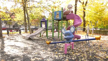 Nicușor Dan, după ce un copac putred s-a PRĂBUȘIT într-un parc din București: „Există o constanță a acestui fenomen”