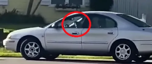 Incident bizar. Un câine a fost filmat „conducând mașina stăpânului. Cum a fost posibil- VIDEO