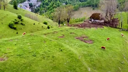 Noul an școlar: La Albac, Apuseni, se închid două școli primare, după reorganizare. Copiii merg pe jos 2 kilometri, pe vreme rea