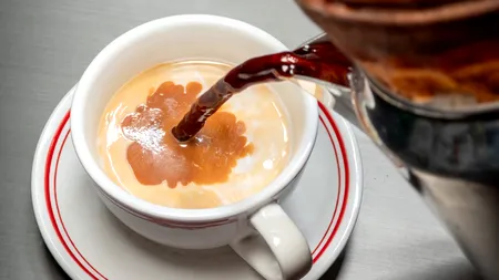 Mihaela Bilic, despre ceaiul cu LAPTE: „Unele combinații alimentare par curioase, însă în spate se ascunde un argument nutrițional real”